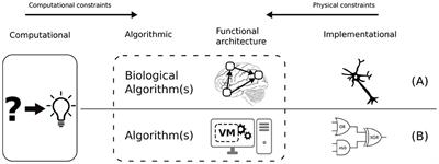 A Schema-Based Robot Controller Complying With the Constraints of Biological Systems